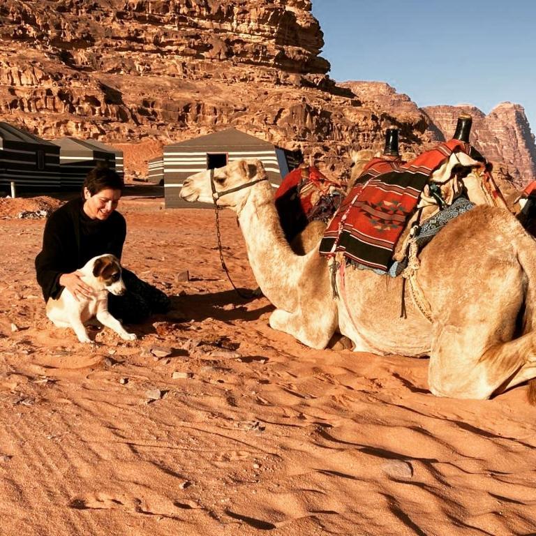 Desert Magic Camp & Resort ワディ ・ラム エクステリア 写真
